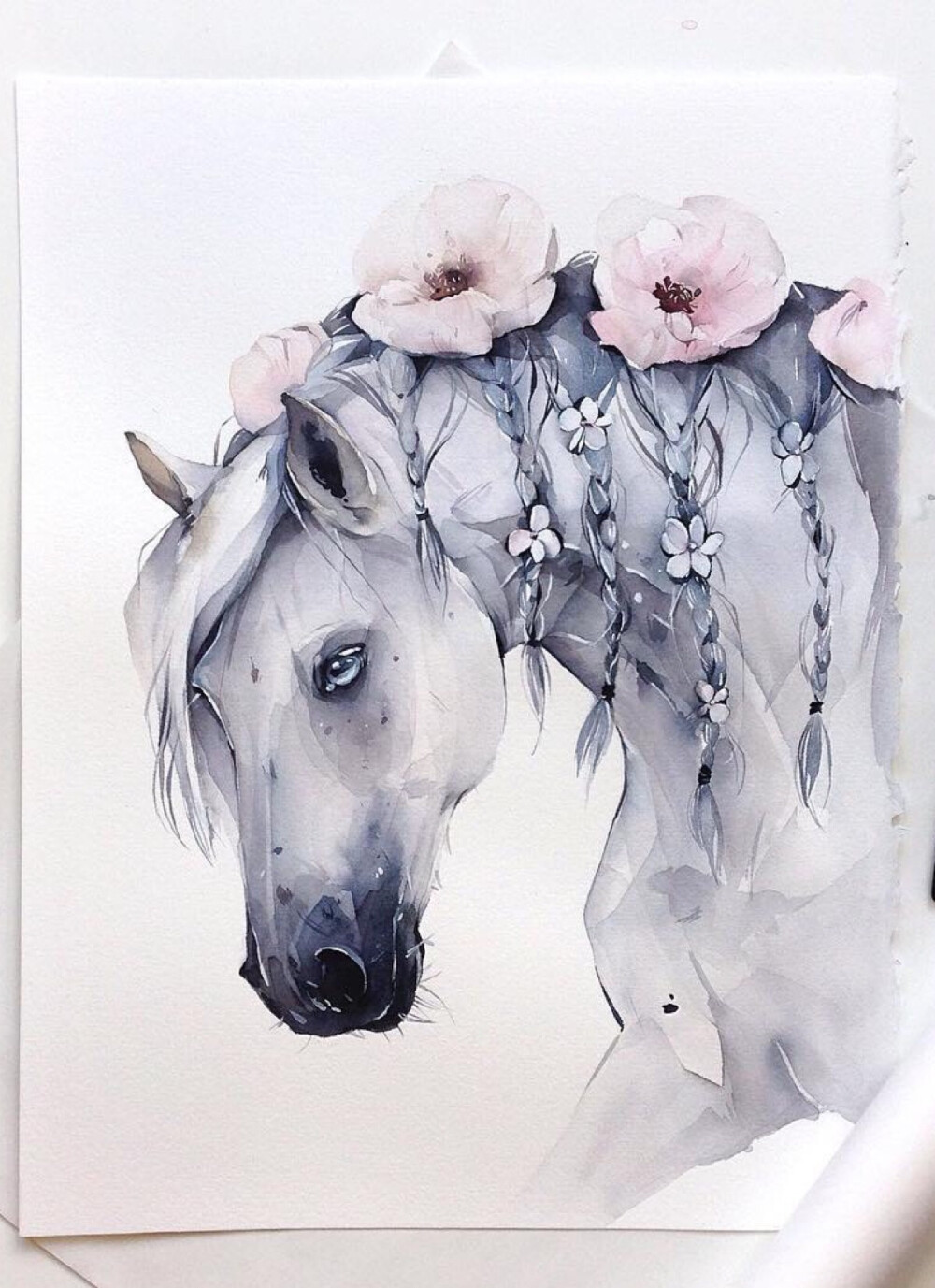 水彩动物绘画插画师inskadantsevanatalia