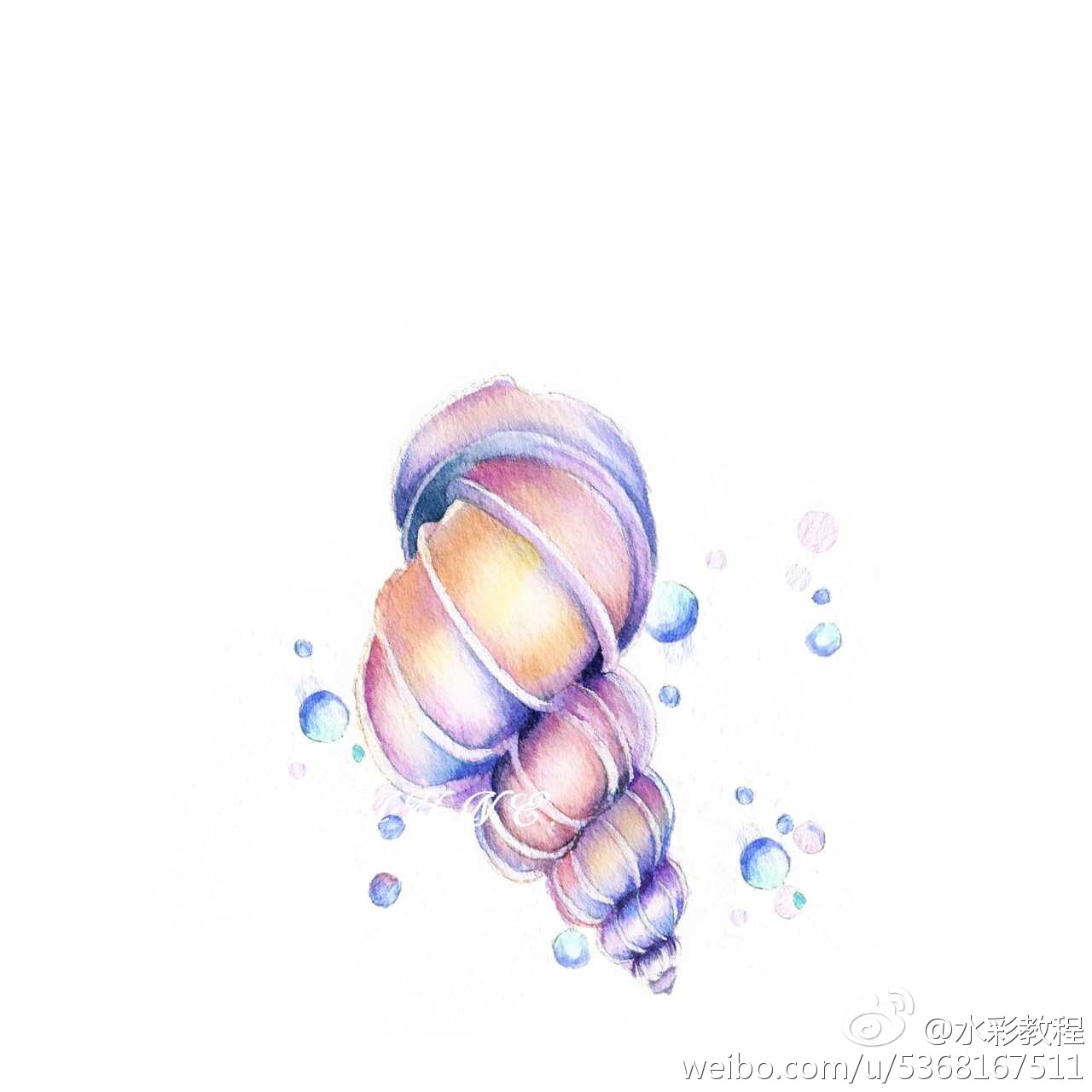 海螺原画图片