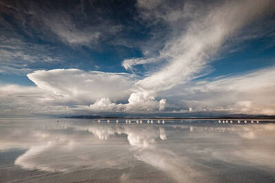 乌尤尼盐沼——天空之境
