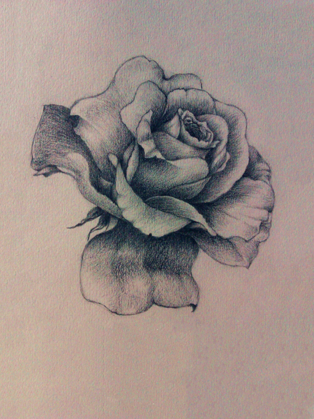 彩铅手绘玫瑰