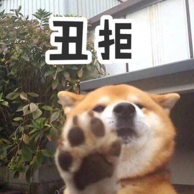 情侣日常表情包