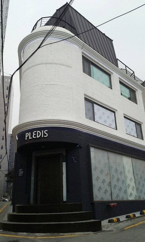 pledis entertainment公司