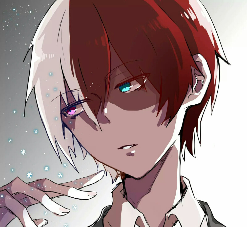 我的英雄学院 轰焦冻 轰总