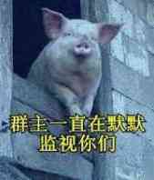 一头猪:群主一直在默默的监视你们_金馆长妈蛋表情网md.itlun.cn