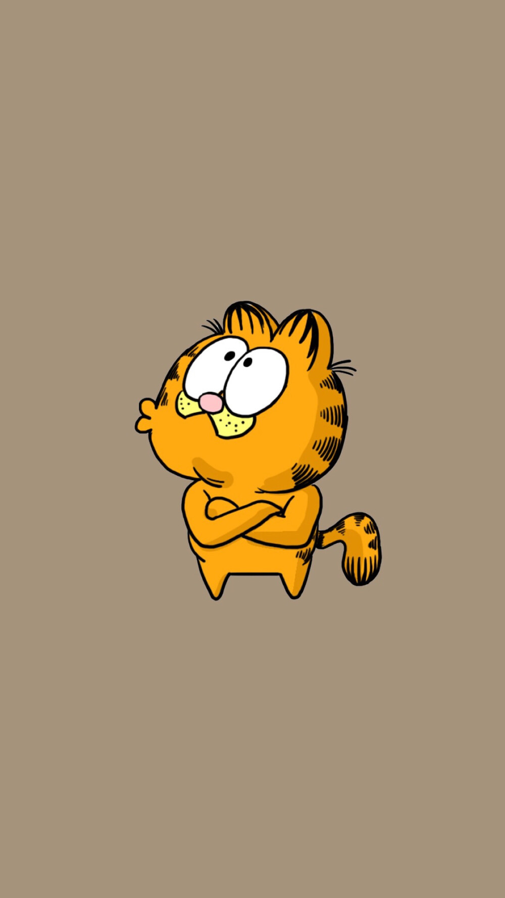 加菲猫可爱壁纸啊