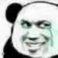 核酸熊猫头表情包图片