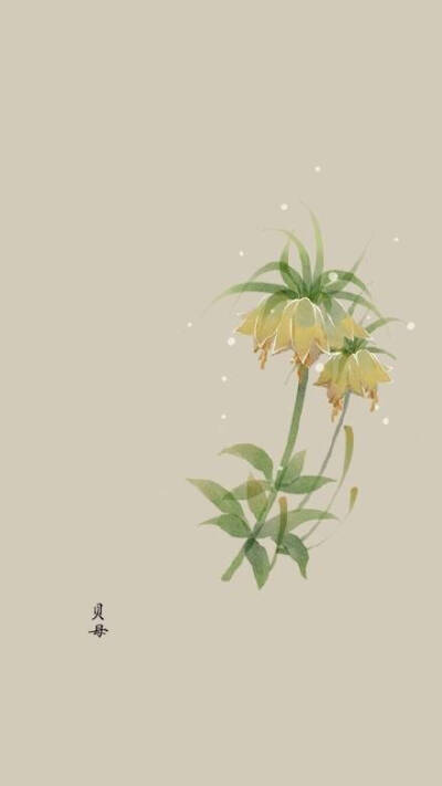 收集   点赞  评论  #文艺范# 一染昙花百念空 净香吹遍古禅风…  0