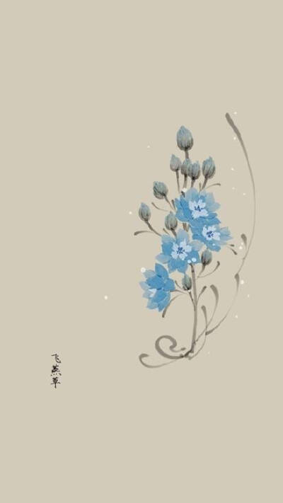 收集   点赞  评论  #文艺范# 一染昙花百念空 净香吹遍古禅风…  0