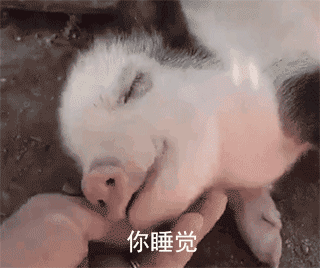 猪睡觉表情包动态图图片