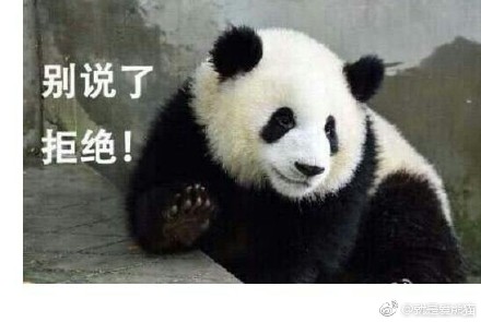 熊猫表情包大熊猫滚滚表情包