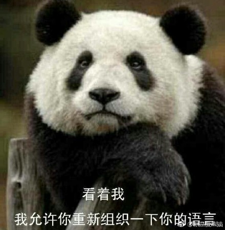 真实表情包熊猫图片