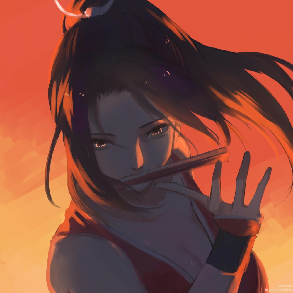 王者荣耀团头不知火舞