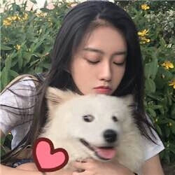 情头(人狗)