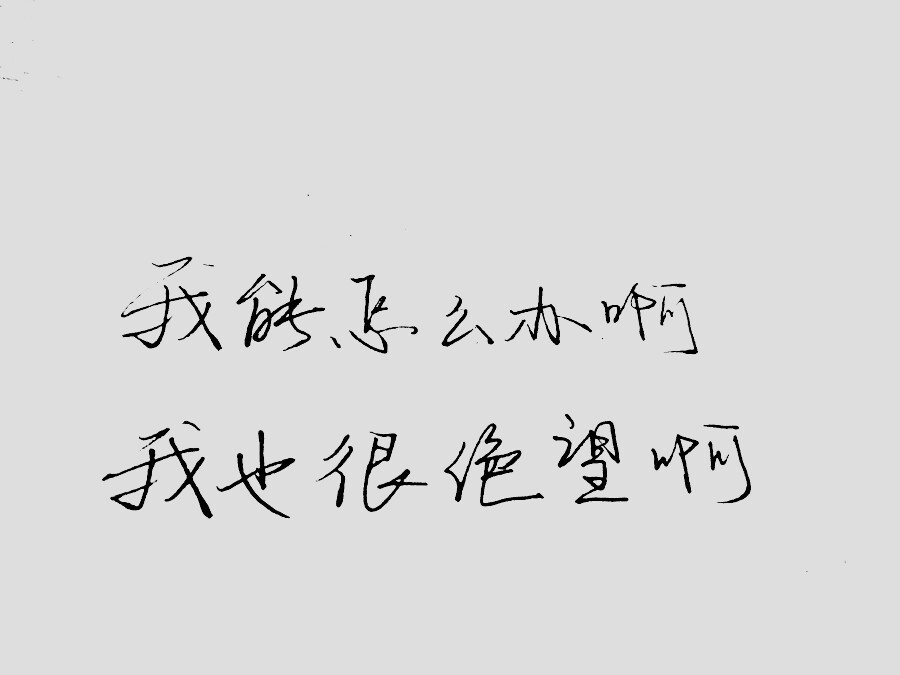 文字 心情