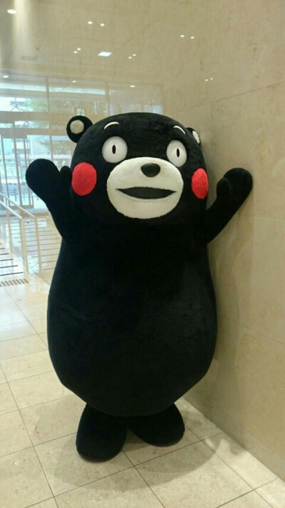 熊本熊