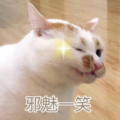 原图精选# 今日份热门表情包原图精选~下午好