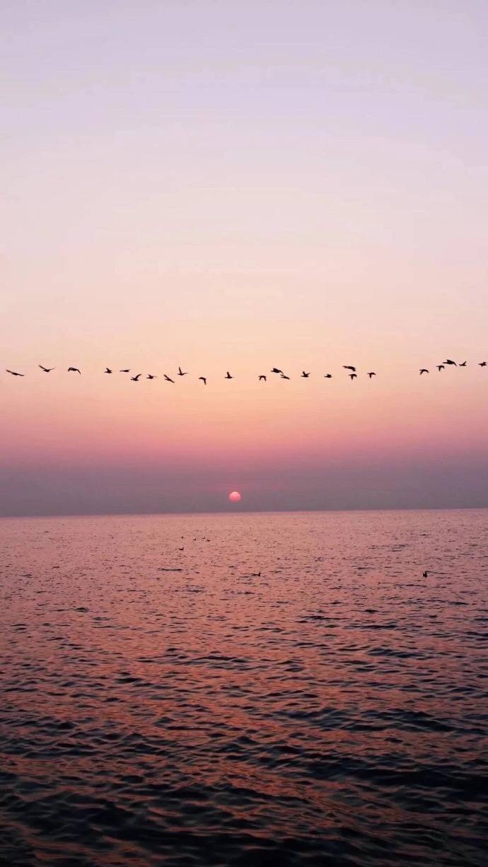 QQ背景夕阳图片