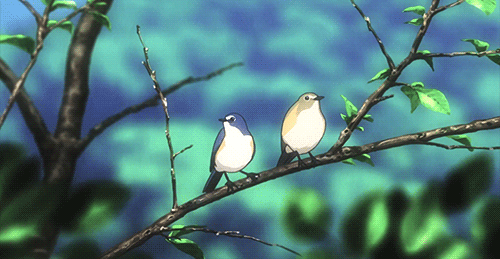 壁纸 动物 鸟 鸟类 雀 500_259 gif 动态图 动图