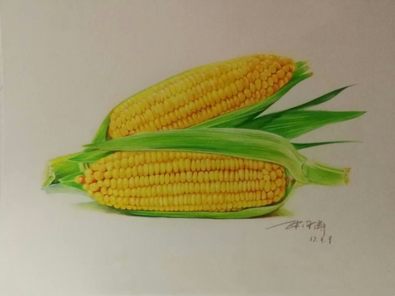 玉米的画法彩铅图片
