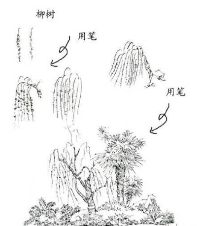 柳树的简笔画素描画图片