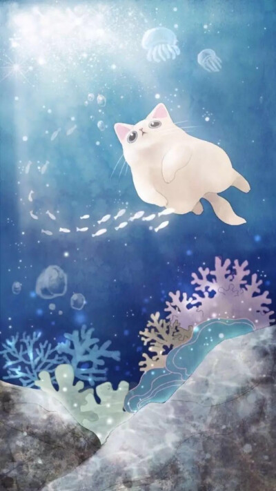 三格猫咪壁纸