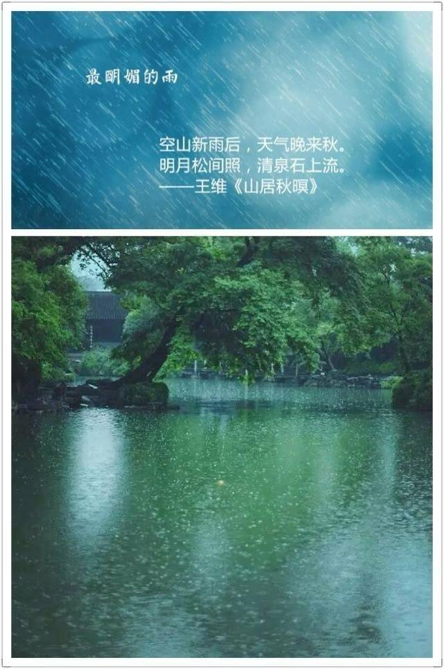 相思的雨美景图片图片