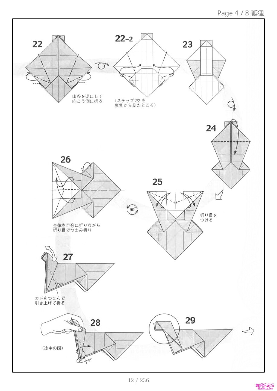 小松英夫狐狸图片