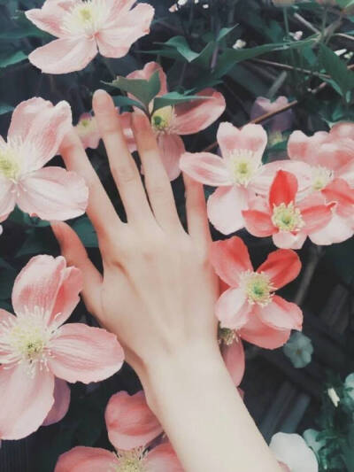 手控- 堆糖,美图壁纸兴趣社区