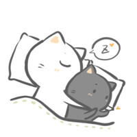 猫咪的情侣头像
