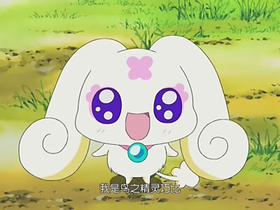 巧比(choppy)来自泉之乡的鸟之精灵