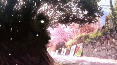 樱花动态壁纸二次元图片