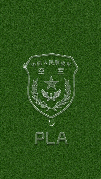 中国空军标志手机壁纸图片