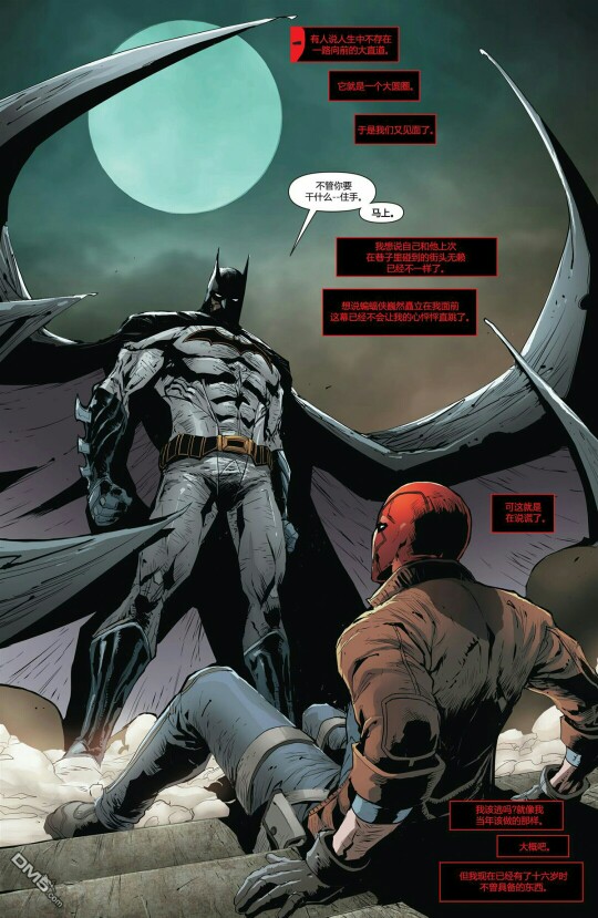 batfamily 蝙蝠侠 红头罩