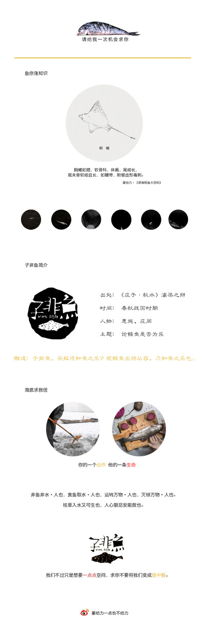 第二十期·刺鳐鱼!