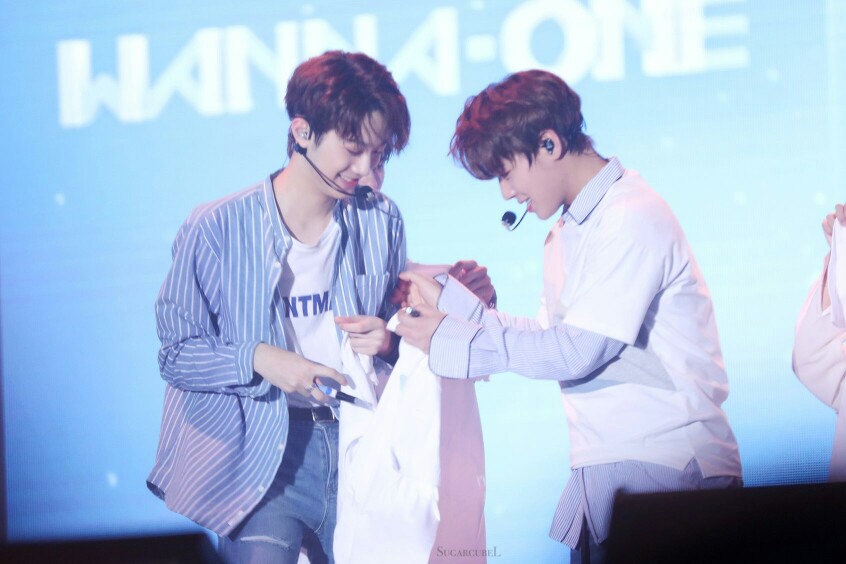 赖冠霖 朴志训 wanna·one cr.logo