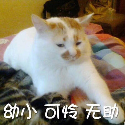 幼小可怜无助