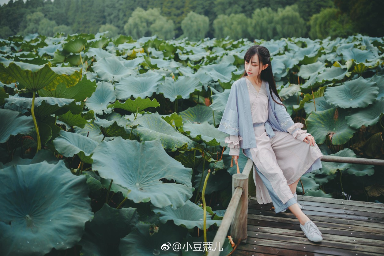 小豆蔻儿