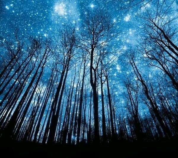 壁纸,聊天背景,星空