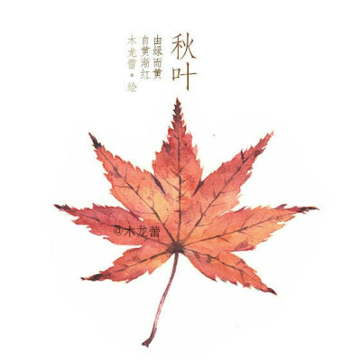 唯美 植物 水粉 秋