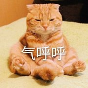 气呼呼