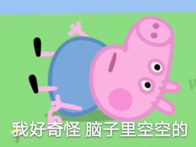 小猪猪哼表情包