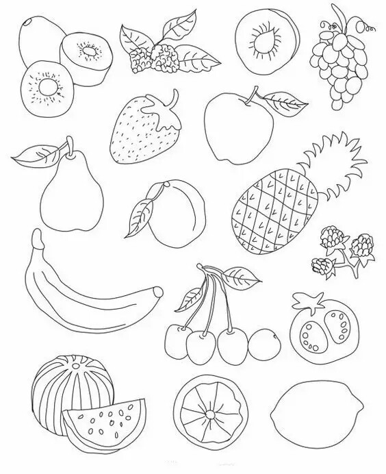 一堆水果简笔画 可爱图片