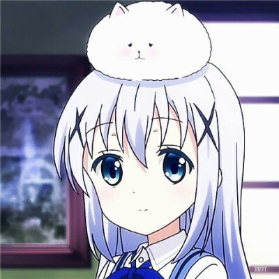 自截点兔香风智乃