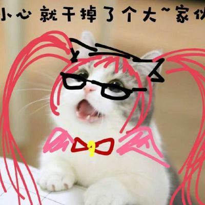 猫咪版王者荣耀 安琪拉