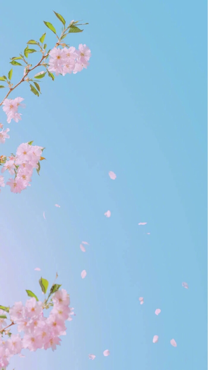 神都偏爱 - 堆糖,美图壁纸兴趣社区