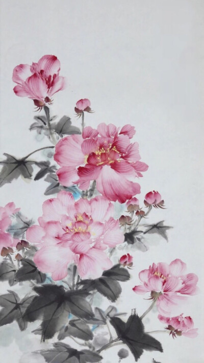 芙蓉