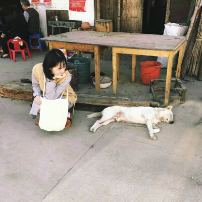 一人两狗