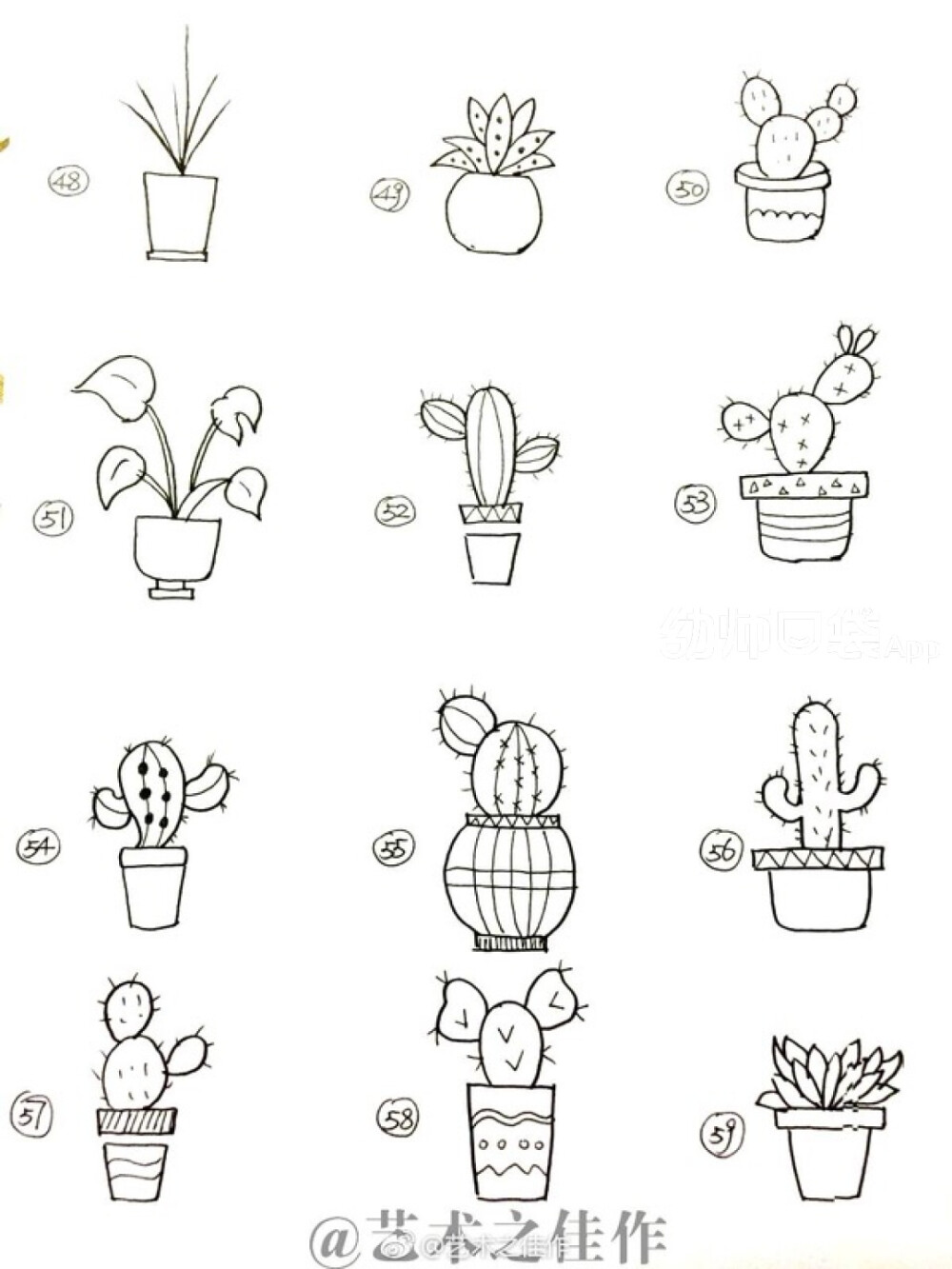 植物简笔画