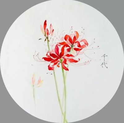 传说中自愿投入地狱的花朵,被众魔遣回,但仍徘徊于黄泉路上,众魔不忍