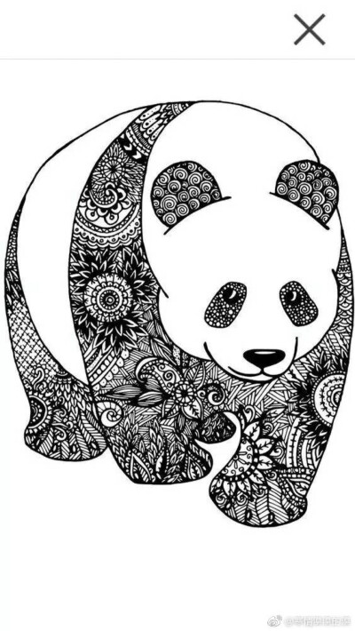 熊猫线描画黑白图片